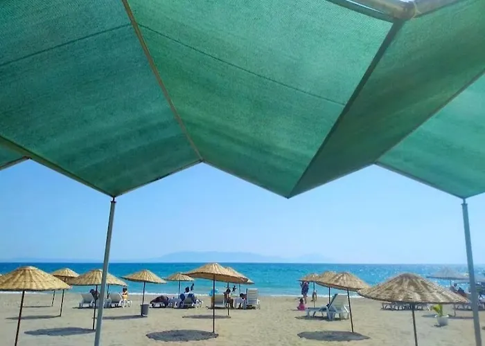 Mandarin Gümüldür